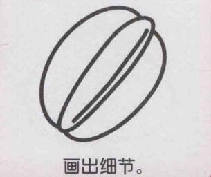 杨桃简笔画画法步骤05