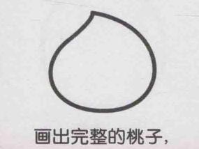桃子简笔画画法步骤02
