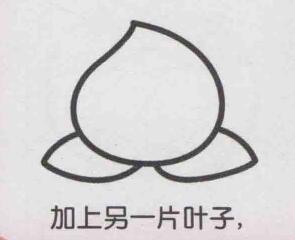 桃子简笔画画法步骤04