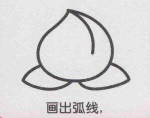 桃子简笔画画法步骤05