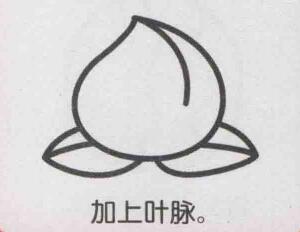 桃子简笔画画法步骤05