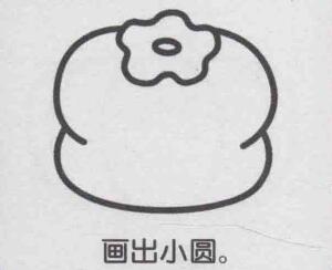 柿子简笔画画法步骤05