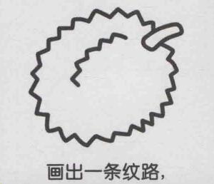 榴莲简笔画画法步骤04