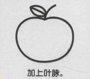 苹果简笔画画法步骤05