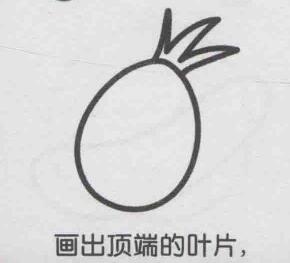 火龙果简笔画画法步骤02