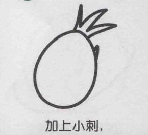 火龙果简笔画画法步骤03