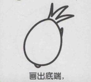 火龙果简笔画画法步骤04