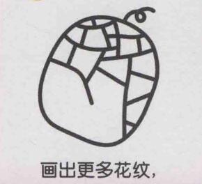 哈密瓜简笔画画法步骤04