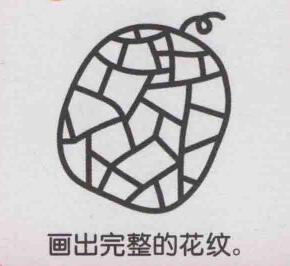 哈密瓜简笔画画法步骤05