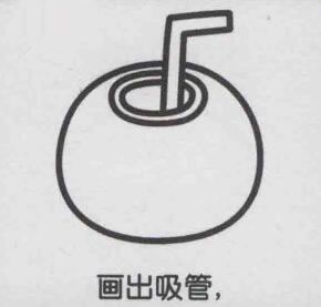 椰子简笔画画法步骤04
