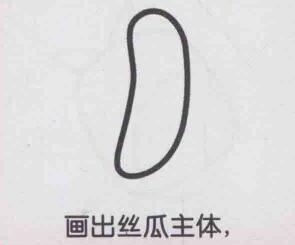 丝瓜简笔画画法步骤01