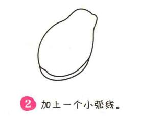 木瓜简笔画画法步骤02