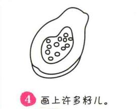 木瓜简笔画画法步骤04