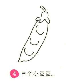 豆角简笔画画法步骤04