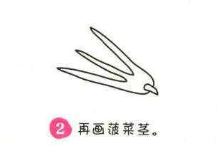 波草简笔画画法步骤02