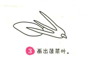 波草简笔画画法步骤03