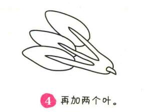 波草简笔画画法步骤04