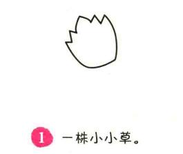冬瓜简笔画画法步骤01