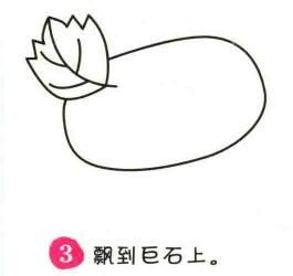 冬瓜简笔画画法步骤03