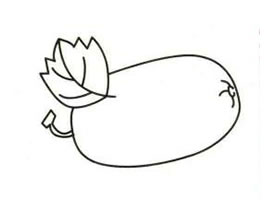 冬瓜简笔画