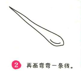 大葱简笔画画法步骤02