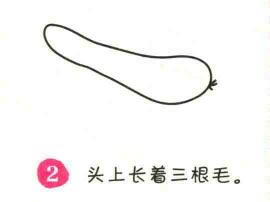 黄瓜简笔画画法步骤02