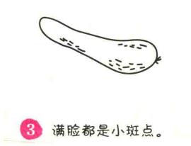 黄瓜简笔画画法步骤03