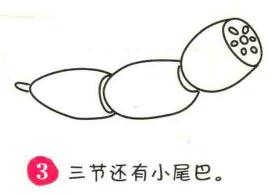 莲藕简笔画画法步骤03