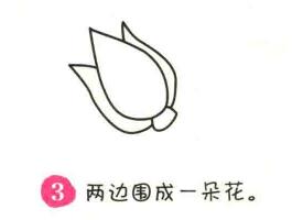 油菜简笔画画法步骤03