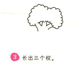 菜花简笔画画法步骤03