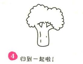 菜花简笔画画法步骤04