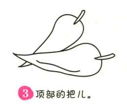辣椒简笔画画法步骤03