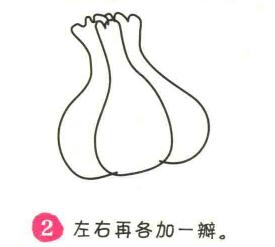 大蒜简笔画画法步骤02