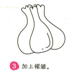 大蒜简笔画画法步骤03