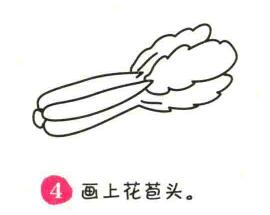 白菜简笔画画法步骤04