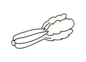 白菜简笔画