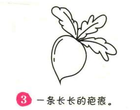 萝卜简笔画画法步骤03
