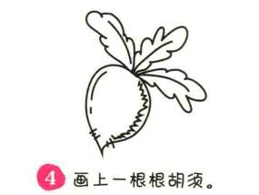 萝卜简笔画画法步骤04