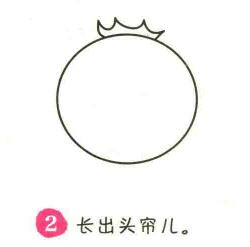 番茄简笔画画法步骤02