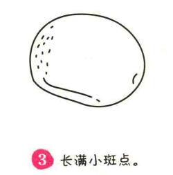 土豆简笔画画法步骤03