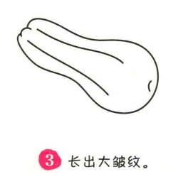 西葫芦简笔画画法步骤03