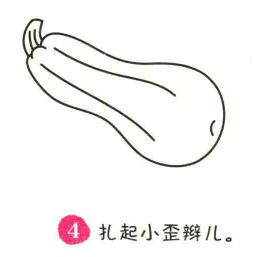 西葫芦简笔画画法步骤04