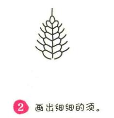 小麦简笔画画法步骤02