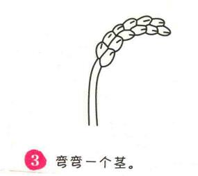 水稻简笔画画法步骤03