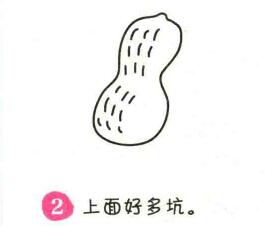 花生简笔画画法步骤02