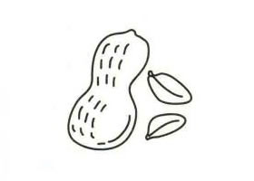 花生简笔画
