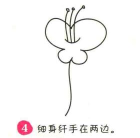 蝴蝶花简笔画画法步骤04
