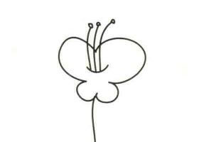 蝴蝶花简笔画