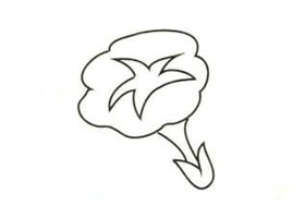 牵牛花简笔画