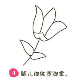 百合花简笔画画法步骤04